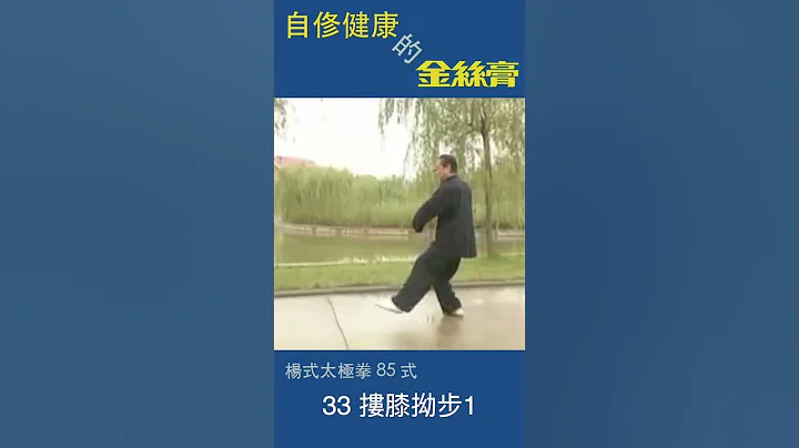 趙幼斌   太極拳85式   33 摟膝拗步1 - 天天要聞