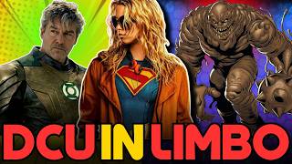 Celebrity James Gunn’s DCU Is Officially In Limbo! Wealth