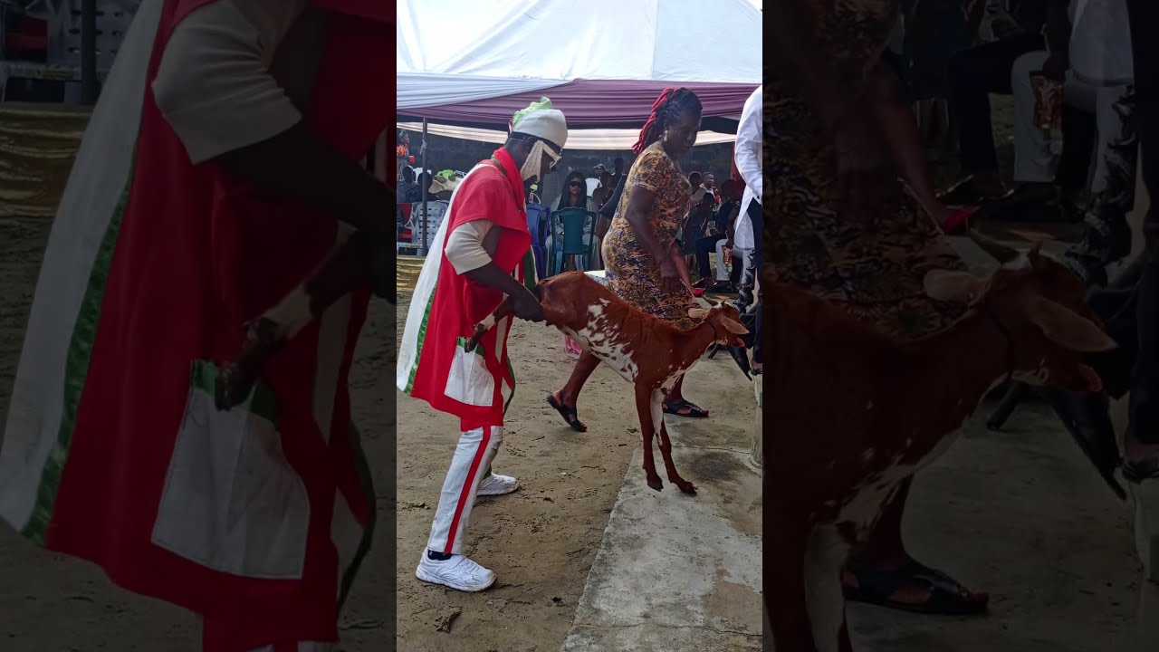 Wonders Shall Never End 2025