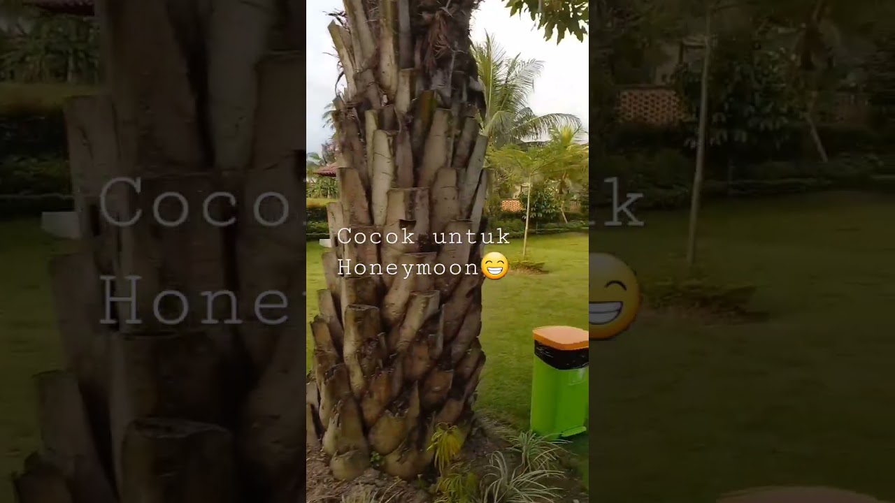 Adil Villa & Resort - Ubud I Honeymoon dibali I Jalan nusantara