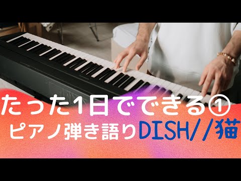 ５つのコードで簡単ピアノ弾き語り/猫//DISH
