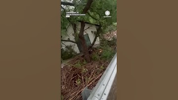 House Crashes into Bridge on Flooded Texas River