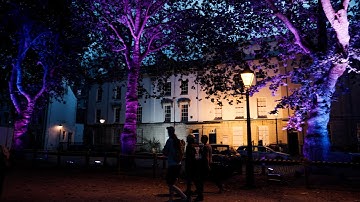 Zoomscape | Playable City 2023 | Watershed