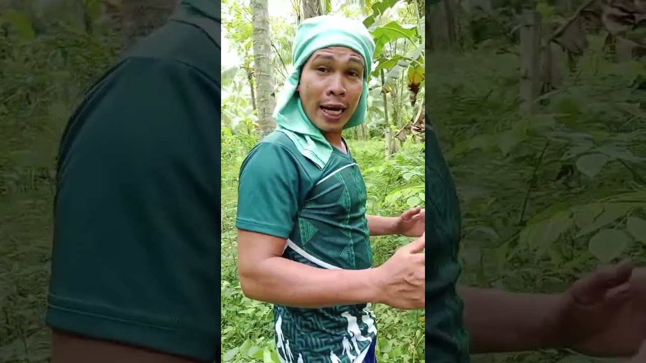 Tagalogin si ebo ngayon🤣🤣