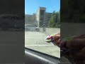 How To Get Dog Smell Out Of Your Car (Fast) | The Pack