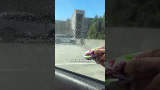 How To Get Dog Smell Out Of Your Car (Fast) | The Pack