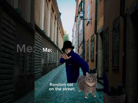 Me:When I See random cat on the  street #shorts #cat #relatable