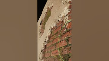 VertexColor Blend with  WPO #unrealengine #3dart #shaders #material #layer