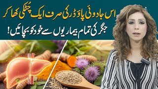 Protect Your Liver from All Diseases with This Ancient Secret Powder | Dr Sahar Chawla