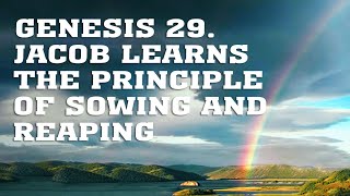BS205 Eng 48. Genesis 29. Jacob Learns the Principle of Sowing and Reaping