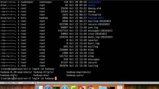 Cloudera Administration - Configure HDFS - Web UIs and Accessing Logs