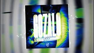 GOZALO - ARIIS