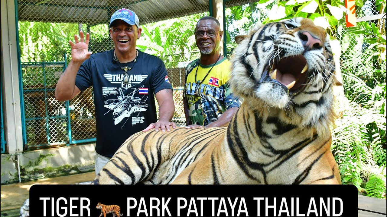 TIGER PARK PATTAYA THAILAND 
