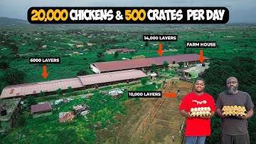From 1,500 To 20,000 Chicken Farm - Inside Ghana