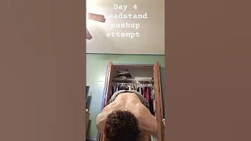 day 4 headstand pushup still fail😔#calisthenics #gym #gymmotivation #letsgetit #music #dog