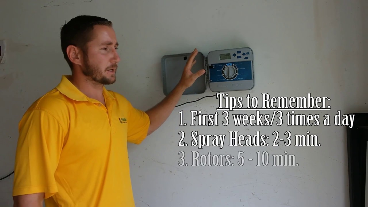 How to Water Your New Lawn Seed?