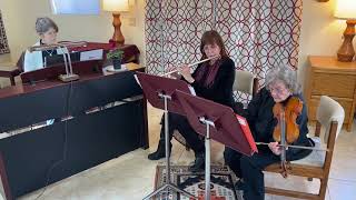 Classy Bach Trio perform JS Bach Concerto for Two Violins in Dmi BWV 1043