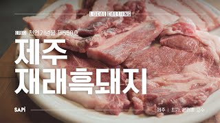 소고기 육색과 마블링의 '진짜' 오리지널 흑돼지  | 로컬콜링 Ep.03 제주 재래흑돼지 W/문정훈 교수