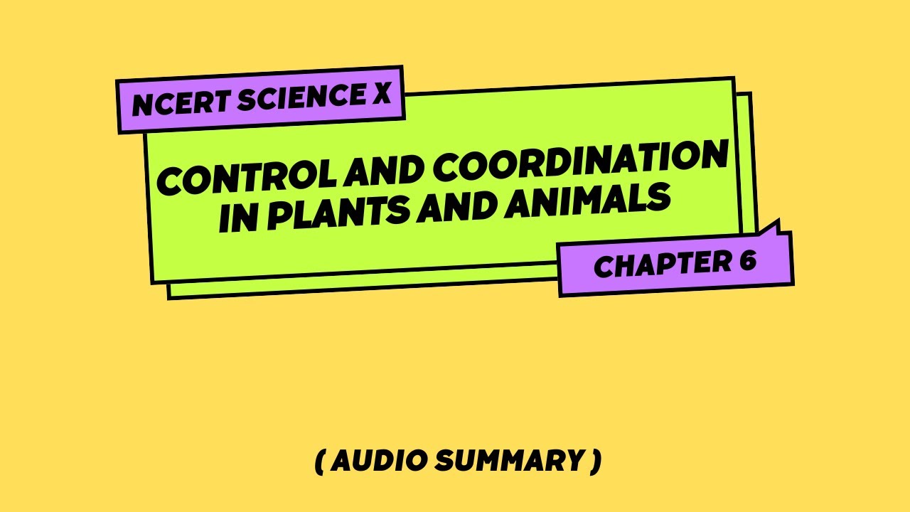 Class 10 NCERT Science Chapter 6: Control and Coordination in Plants ...