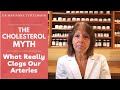 The cholesterol myth what really clogs our arteries