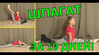 Как БЫСТРО сесть на шпагат/ 100 % ЭФФЕКТИВНЫЕ УПРАЖНЕНИЯ ДЛЯ ШПАГАТА Как БЫСТРО сесть на шпагат/ 100 % ЭФФЕКТИВНЫЕ УПРАЖНЕНИЯ ДЛЯ ШПАГАТА