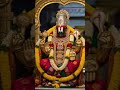 #srinivasa #govinda #hari  #tirupati #tirupatibalaji #tirumala #bengaluru