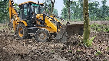 Clearing Forest Ground to Plant New Tree by JCB Backhoe