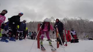 Marist Ski Team Recruitment Video 2020 2021