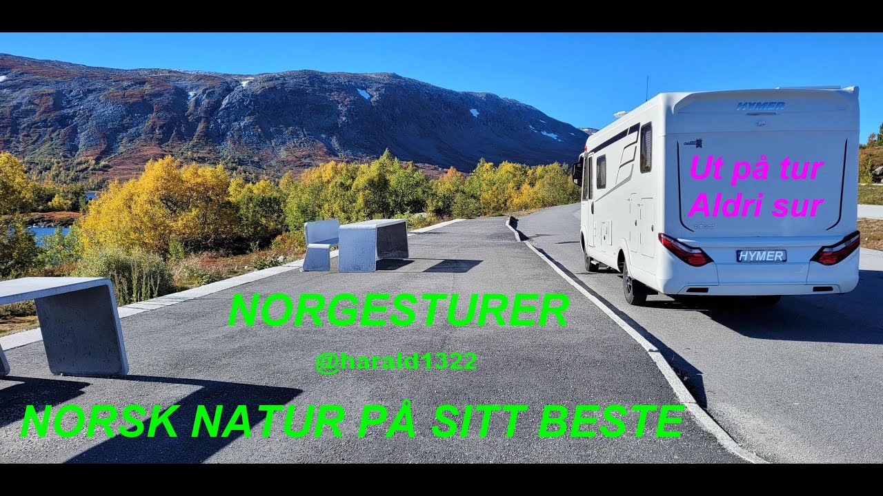 Et besøk i Elgens hus i Umeå