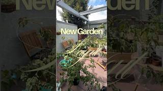 New Garden Layout #gardening #gardenmakeover