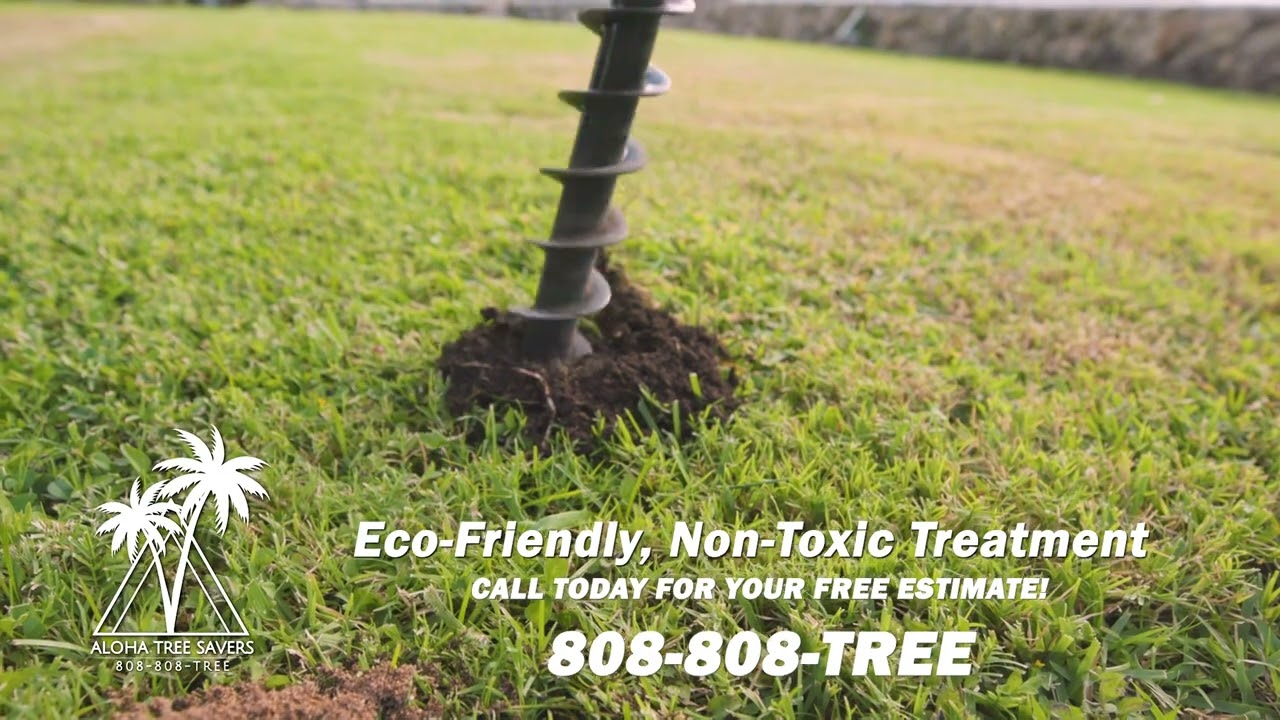 Aloha Tree Savers to get rid of CRB