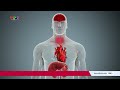 Ebola có tỷ lệ tử vong tới 90%, Bộ Y tế cập nhật phác đồ điều trị | VTV24