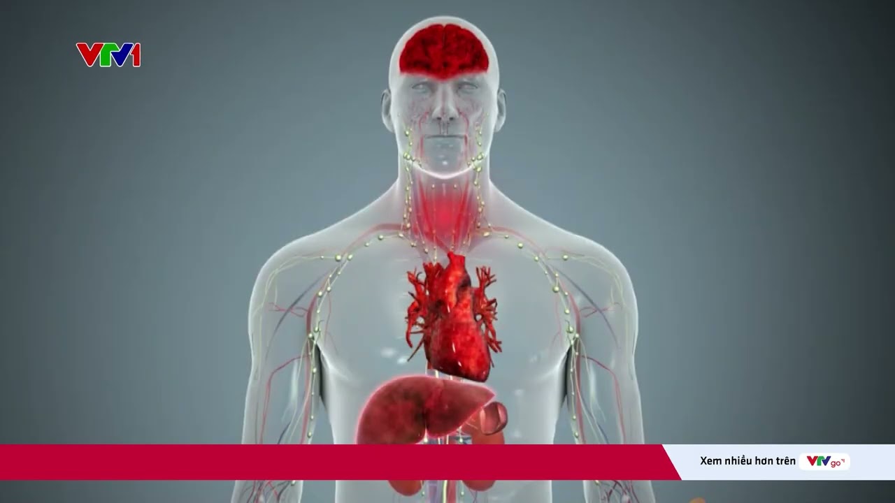 ⁣Ebola có tỷ lệ tử vong tới 90%, Bộ Y tế cập nhật phác đồ điều trị | VTV24
