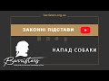 Напад собаки