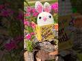 Making a mini picture book of How To Catch The Easter Bunny
