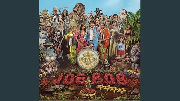 The Drive-In Oath (Punk Version)