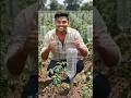 कबाड़ से जुगाड़: बोतल से बनाएं ड्रिप इरिगेशन सिस्टम #trending #aivideo#viral #lifeisbutadream#farming
