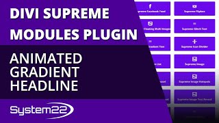 Celebrity Divi Theme Animated Gradient Headline 👍 Profile