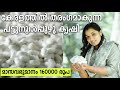 SILKWORM FARMING / SERICULTURE / MALAYALAM / BEAUTY VILLAGE