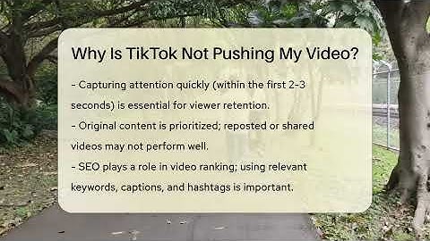 Why Is TikTok Not Pushing My Video? - Everyday-Networking