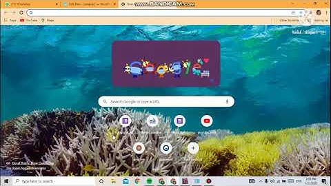 class-10 IT (publishing blog)