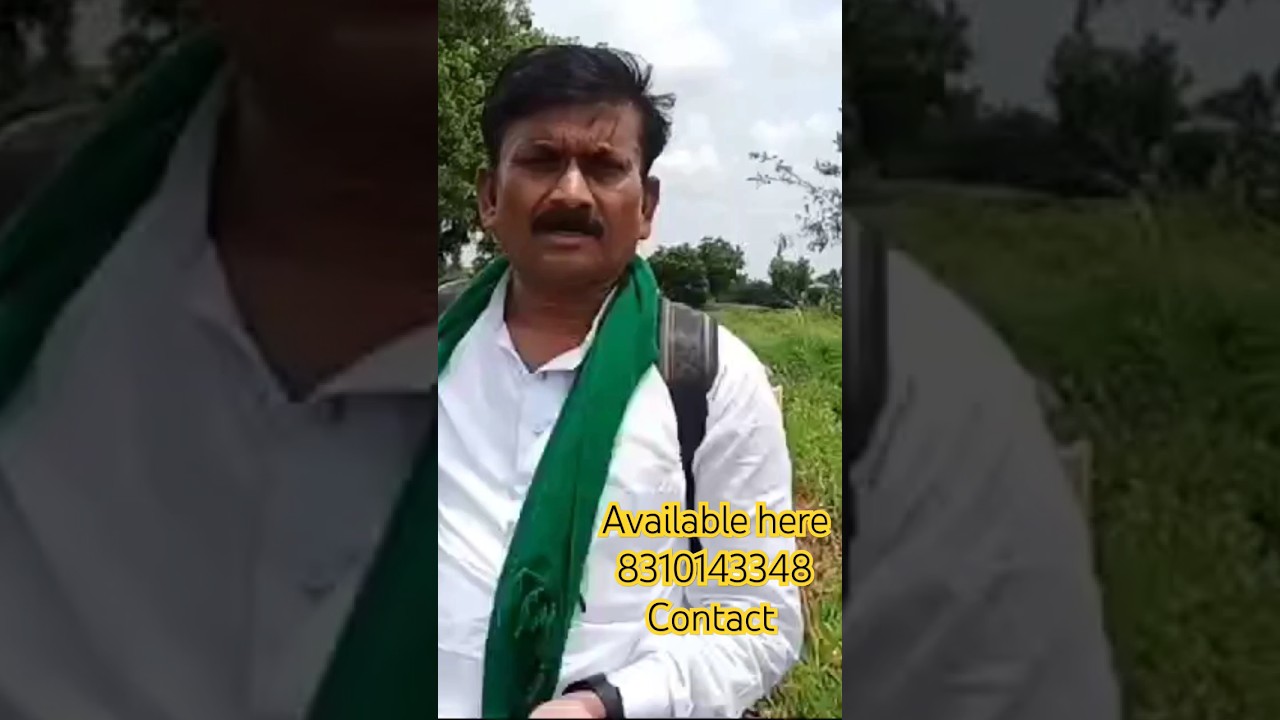 Tur neeping machine Sudharashan cutting machine ತೊಗರಿ ಕುಡಿ ಚುಟುವ ಯತ್ರ ಸುದರ್ಶನ್ ಕಂಪನಿ ಕಟಿಂಗ್ ಮಷೀನ್