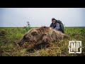 Alaska arctic grizzly  mark v peterson hunting