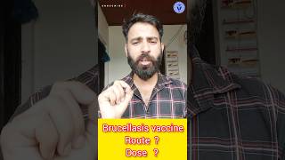 Brucellasis vaccine all details ? ll shorts vet fmd pashudhan nddb veterinary arvindzone