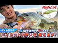 【ハイカット】冬の霞ヶ浦で釣り勝つためのハイカットの使い方教えます！【加藤栄樹】