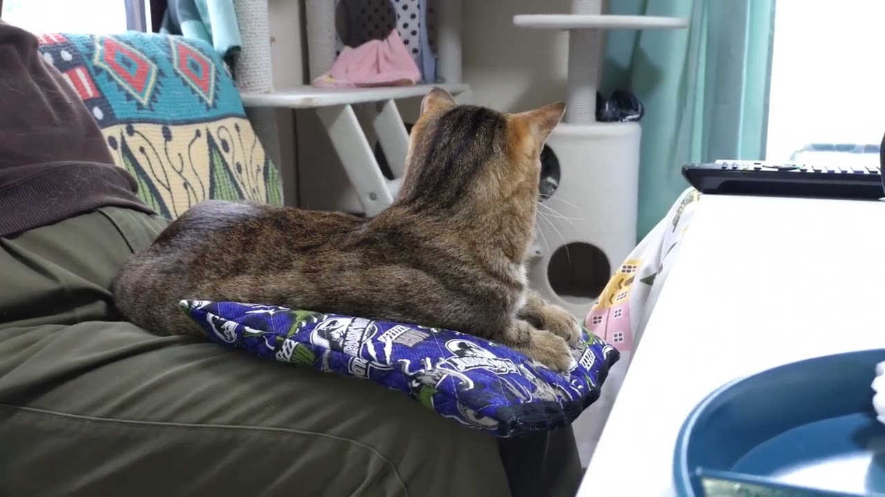 なんでもオモチャにする王子🤴　　　　やってくれたねぇ(-_-;)💦