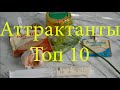 ТОП 10 Аттрактанты для рыбалки на карася, карпа, плотву. Аттрактант для рыбалки своими руками