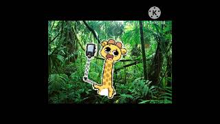 lets take photos (loop)