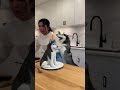The puppy realizes it's a fake cake and takes revenge on the woman🍰🤣#shorts