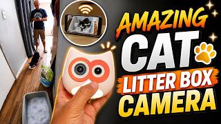 Cat Litter Box Camera Review | LitterLens AI Monitor by SiiPet screenshot 4